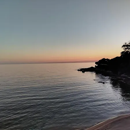 A Cima Olmeto (Corsica)