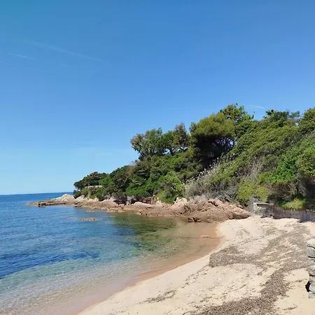 A Cima Olmeto (Corsica)