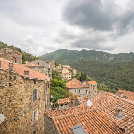 A Cima Apartman Olmeto